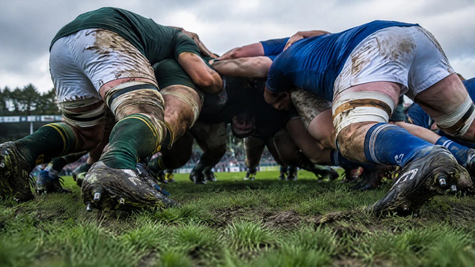 Rugby Betting visual