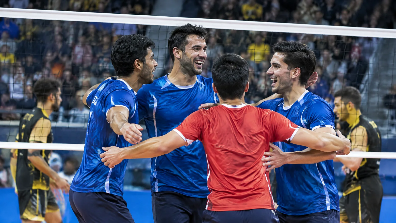 Experience Live Volleyball Betting visual